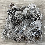 Шишки, фото 3