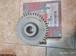 Шестірня компресора Renault DXI, VOLVO FM9 FM 9/260/FM 9/300/FM 9/340/FM 9/380 (42 зуба.)