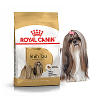 Сухой корм для собак пород ши-тцу в возрасте старше 10 месяцев Royal Canin Shih Tzu Adult 0.5 кг.