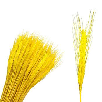 Колоски пшениці жовті ~90-95 шт, 60 см