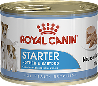 Влажный корм для щенков Royal Canin Starter Mousse 195 г.