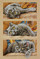 Набор для вышивания крестом Dimensions 70-35301 Max the Cat