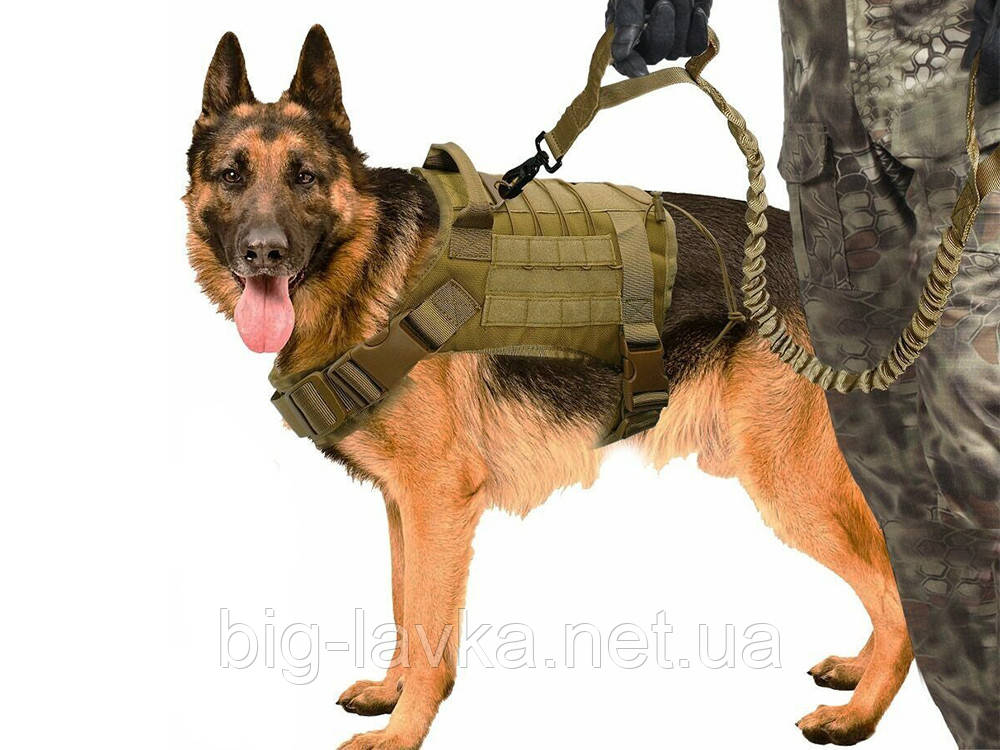 Жилет для собак Molle1000 тактичний L