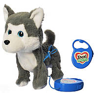 Собачка Хаски на поводке, мягкая интерактивная игрушка 26 см, ходит, поет, двигает хвостом, M 4431 I UA