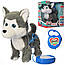 Собака Хаскі на повідку, м'яка інтерактивна іграшка 26 см, ходить, співає, рухає хвостом, M 4431 I UA, фото 5