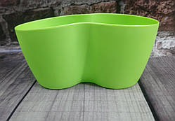 Кашпо кактус на 2 рослини салатовий