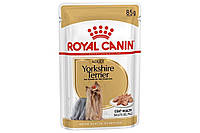 Влажный корм для собак Royal Canin Yorkshire Terrier Adult для йоркширского терьера, 85 г.