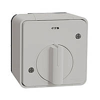 Вимикач з таймером IP55, для поверхневого монтажу, білий, Mureva Styl Schneider Electric MUR39067