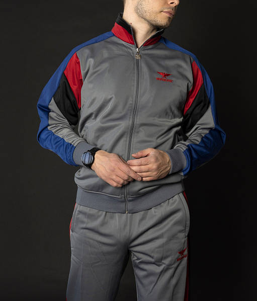 Мужской спортивный костюм монтана серый Винтаж 90-х Montana sport Турция Спортивные костюмы большие размеры: продажа, цена в Харькове. Спортивные костюмы от "MOLHOME" - 1471229943