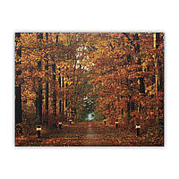 Светящаяся картина осенний лес с тропой горящих фонарей, 6 LЕD ламп, 30x40 см