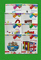 Набор предметных тетрадей 48 листов 8 шт