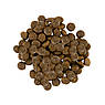 Сухий корм Savory для собак малих порід зі свіжим м’ясом індички та ягнятиною, 8 кг, фото 2