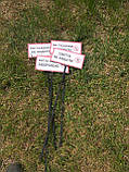 Табличка на ніжці "По газонах не ходити" 210*300мм, одностороння, фото 6
