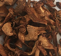 100 г лисички сушеные грибы (Свежий урожай) лат. Cantharéllus