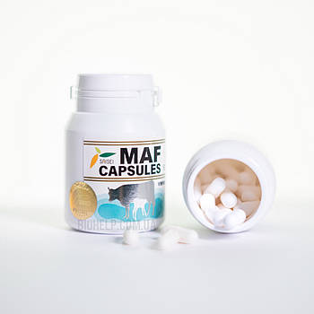 GcMAF (ДжисіМаф) 60 капсул / для підвищення імунітету. Японія. BX180