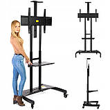 Телевізійна стійка NB AVA1800-70-1P для телевізорів 55 до 80", фото 3