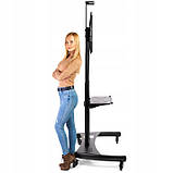 Телевізійна стійка NB AVA1800-70-1P для телевізорів 55 до 80", фото 9