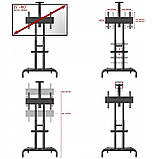 Телевізійна стійка NB AVA1800-70-1P для телевізорів 55 до 80", фото 8