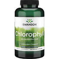 Хлорофіл з люцерною, Chlorophyll, Swanson, 300 капсул