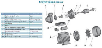 Насос вихровий Аquatica з обратнымклапаном 0.37 кВт Hmax 40м Qmax 40л/хв, фото 3