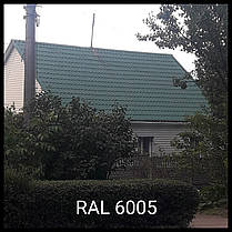 МЕТАЛОЧЕРЕХИЦЯ DELTA RAL 6005 0,5 мм MAT ArcelorMittal Польща, фото 3