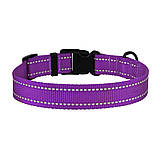 Нашийник для собак Active ТМ BronzeDog нейлоновий фіолетовий обхват шиї 30-40см ширина 20мм М, фото 3