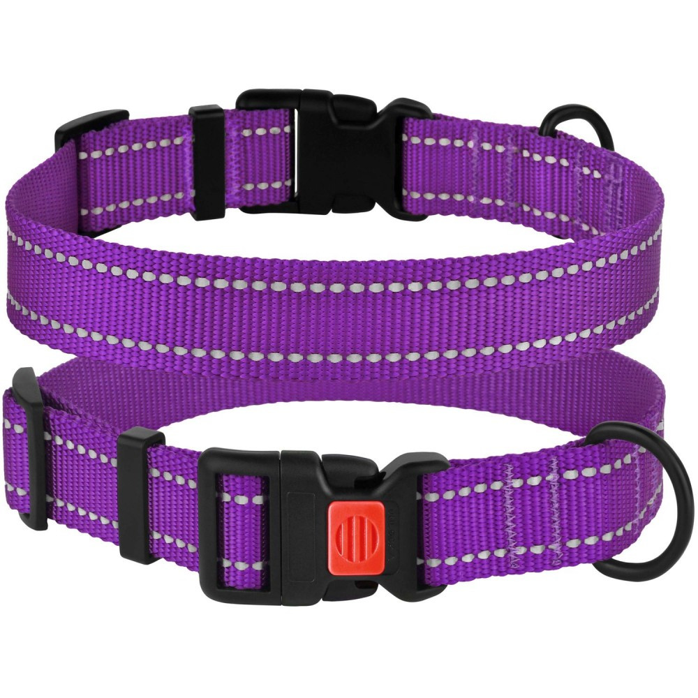 Нашийник для собак Active ТМ BronzeDog нейлоновий фіолетовий обхват шиї 30-40см ширина 20мм М, фото 1
