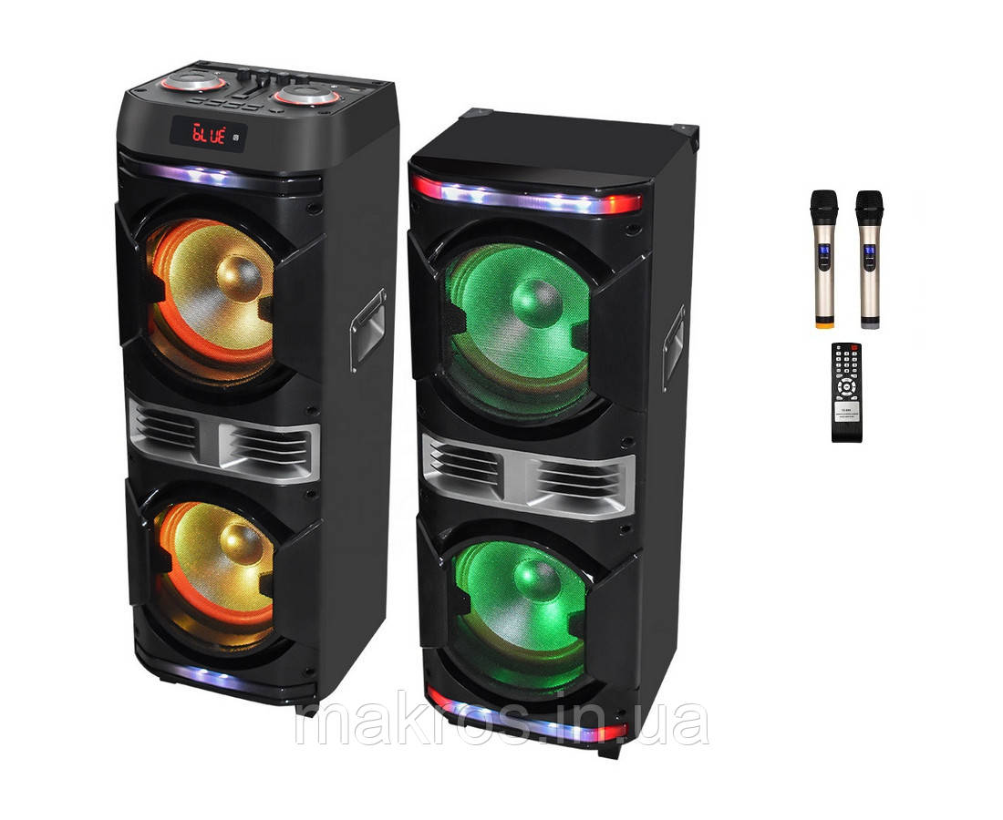Подвійна акустична система ProAudio 1010 (12v/220v), фото 1