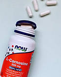 Л-карнозин NOW L-Carnosine 500 mg 50 капсул, фото 3