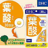 Фолієва кислота 400 мкг DHC 30 капсул на 30 днів прийому, фото 2