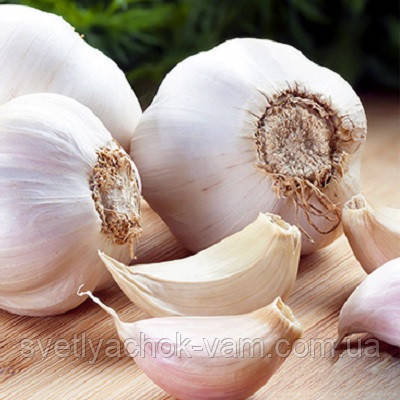 Повітрячка часнику Мереф'янський білий озимий сорт середньо стиглого терміну дозрівання, паковання 100 г