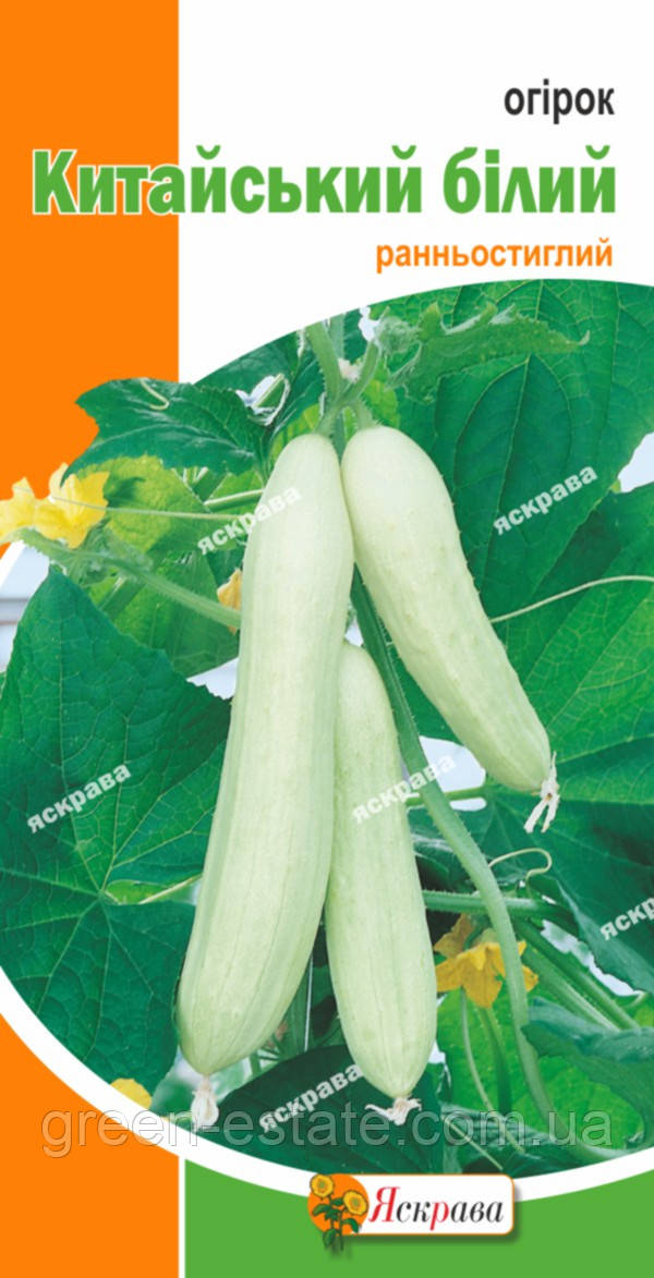 Огірок Китайський білий
