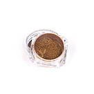 Прання для нігтів Laser Powder Gold 002, фото 3
