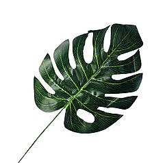 17 Штучний лист монстери МАЛИЙ 16*45 см