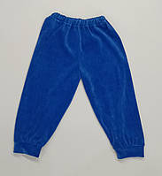Спортивные штаны для мальчика, велюр, синие1816
