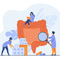 Травна система