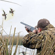 Особливості полювання на качку
