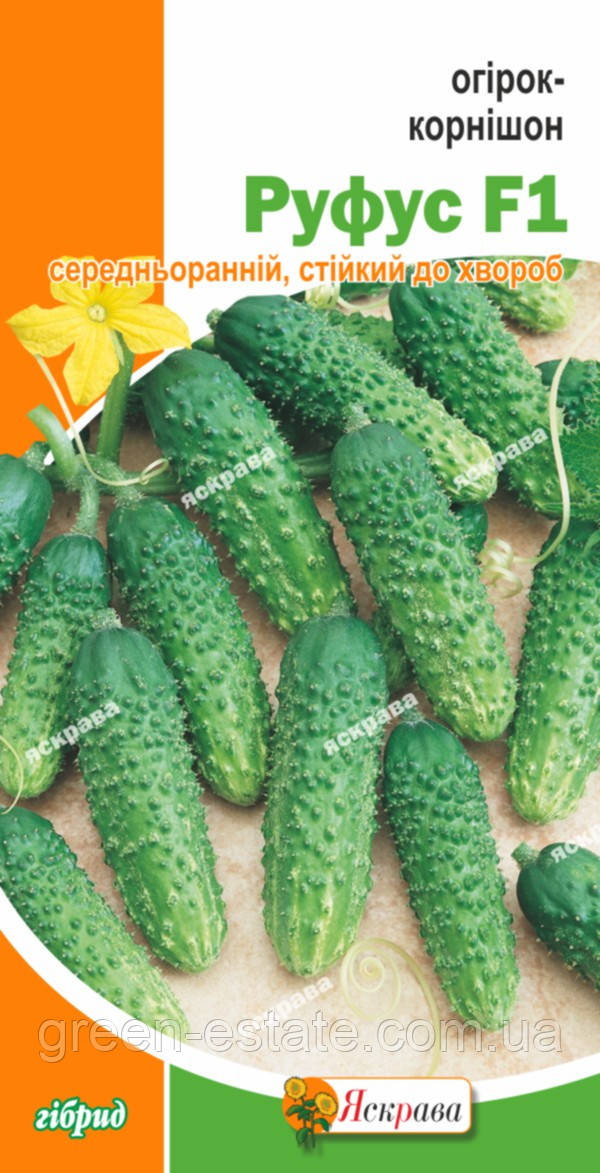 Огурец-корнишон Руфус F1 купить в Украине почтой, цена оптом 2022