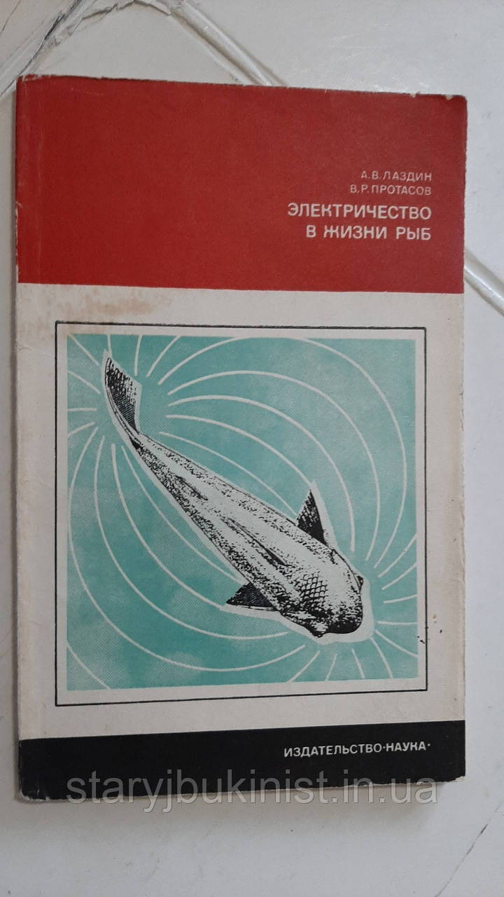 Електричність у житті риб А.Лаздин, фото 1