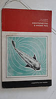 Електричність у житті риб А.Лаздин