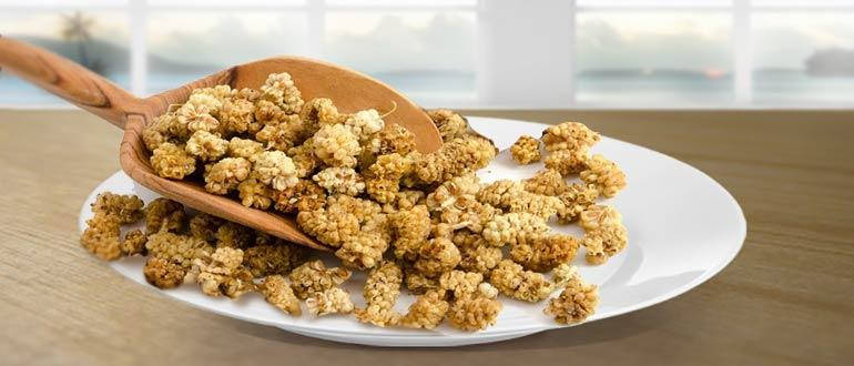 Шовковиця біла (без кісточок), ягоди білої шовковиці сушені, 10 кг - TR, фото 3