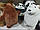 М'яка іграшка Вся правда про ведмеді (We Bare Bears), 30 см, фото 6