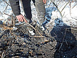 Універсальний лісовий мульчер-фреза (корчувальник) Seppi MULTIFORST для розчищення зарослих полів, фото 10