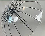 Прозора парасолька тростина 16 спиць напівавтомат без малюнків, фото 4