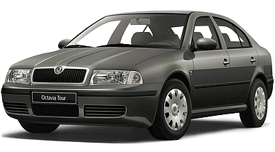 Передні амортизатори Skoda Octavia 1U2 олійний від 1998 г з двигуном 1,8 1,9 2,0 (Шкода Октавія), фото 3
