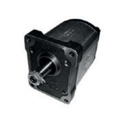 Гідравлічний насос Landini 1PN229CB11/438, фото 1