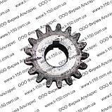 Шестірня приводу гідронасоса Т-16, Z=17, СШ24.22.102-1, фото 4