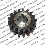 Шестірня приводу гідронасоса Т-16, Z=17, СШ24.22.102-1, фото 3