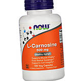 Карнозин 500 NOW L-Carnosine 500 mg 100 капсул, фото 6