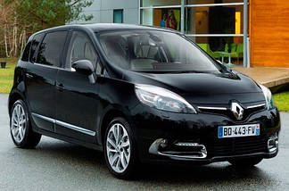 Передні амортизатори Renault Scenic III від 2009г з двигуном 1,2 1,4 1,5 1,6 1,9 2,0 (Ріно Сцінік 3), фото 3